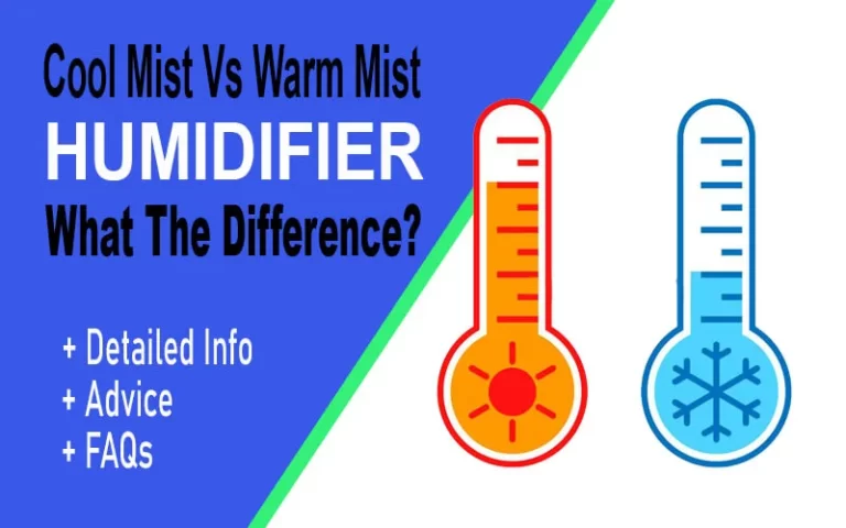 Cool Mist Vs Warm Mist Humidifier: What’s The Difference?