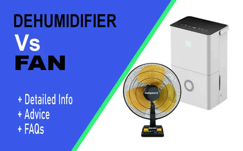 dehumidifier vs fan