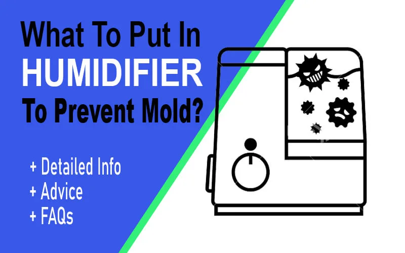 what-to-put-in-humidifier-to-prevent-mold
