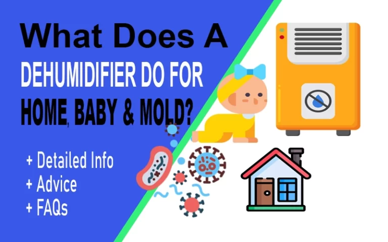 What does a Dehumidifier do for Home, Babies and Mold