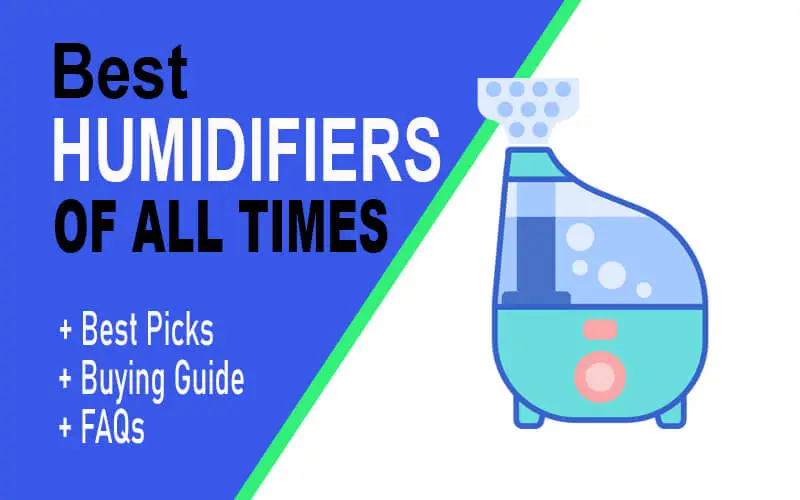 best humidifiers