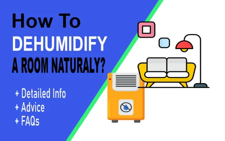 How to Dehumidify a Room Quickly, Naturally and Fast [2023]